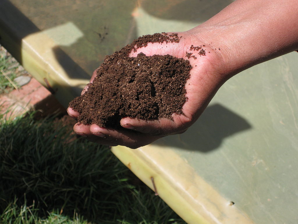 Ready compost in its final stage.