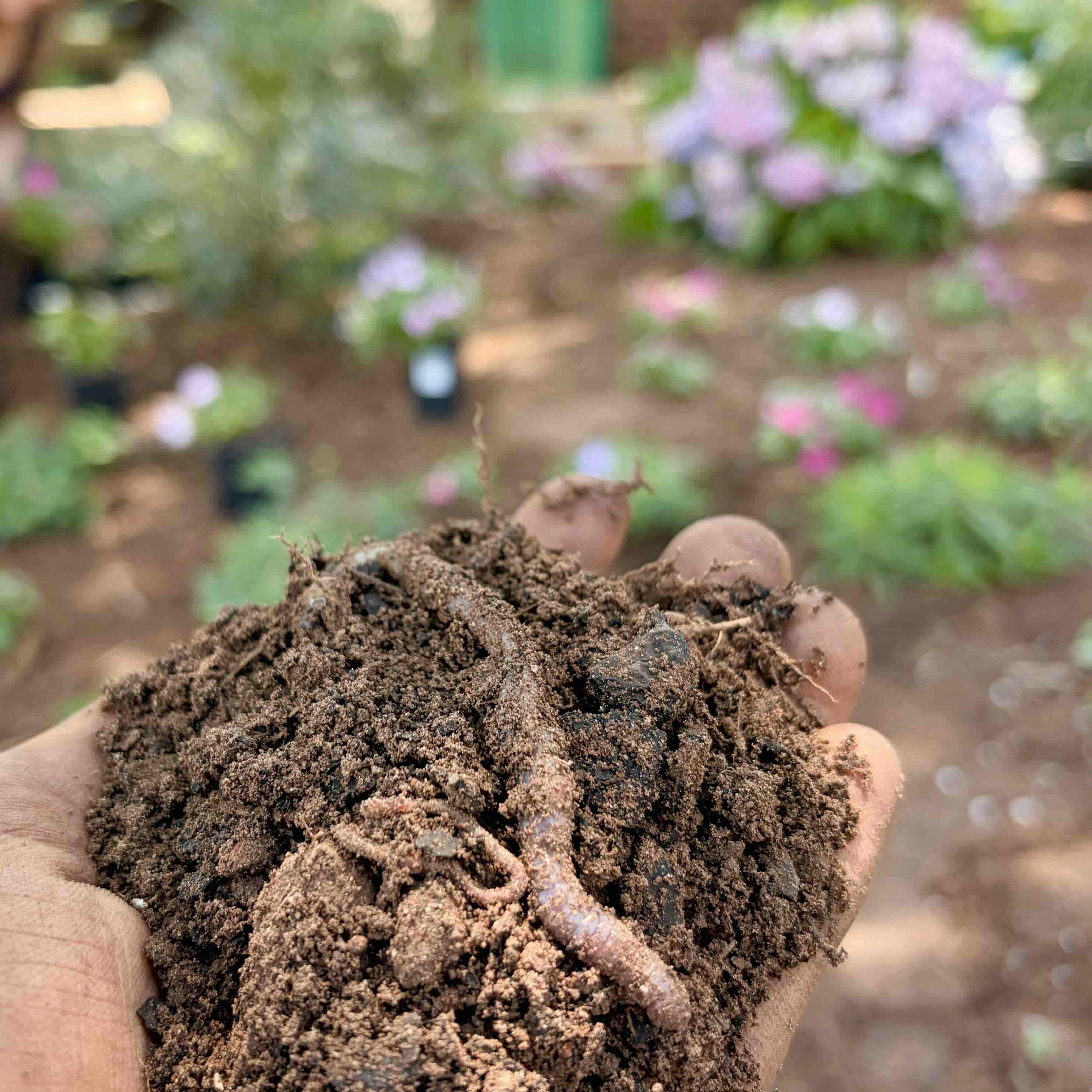 Land restoration service in Oklahoma City, Edmond, Oklahoma