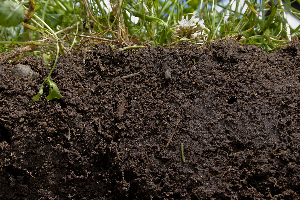 Healthy Soil