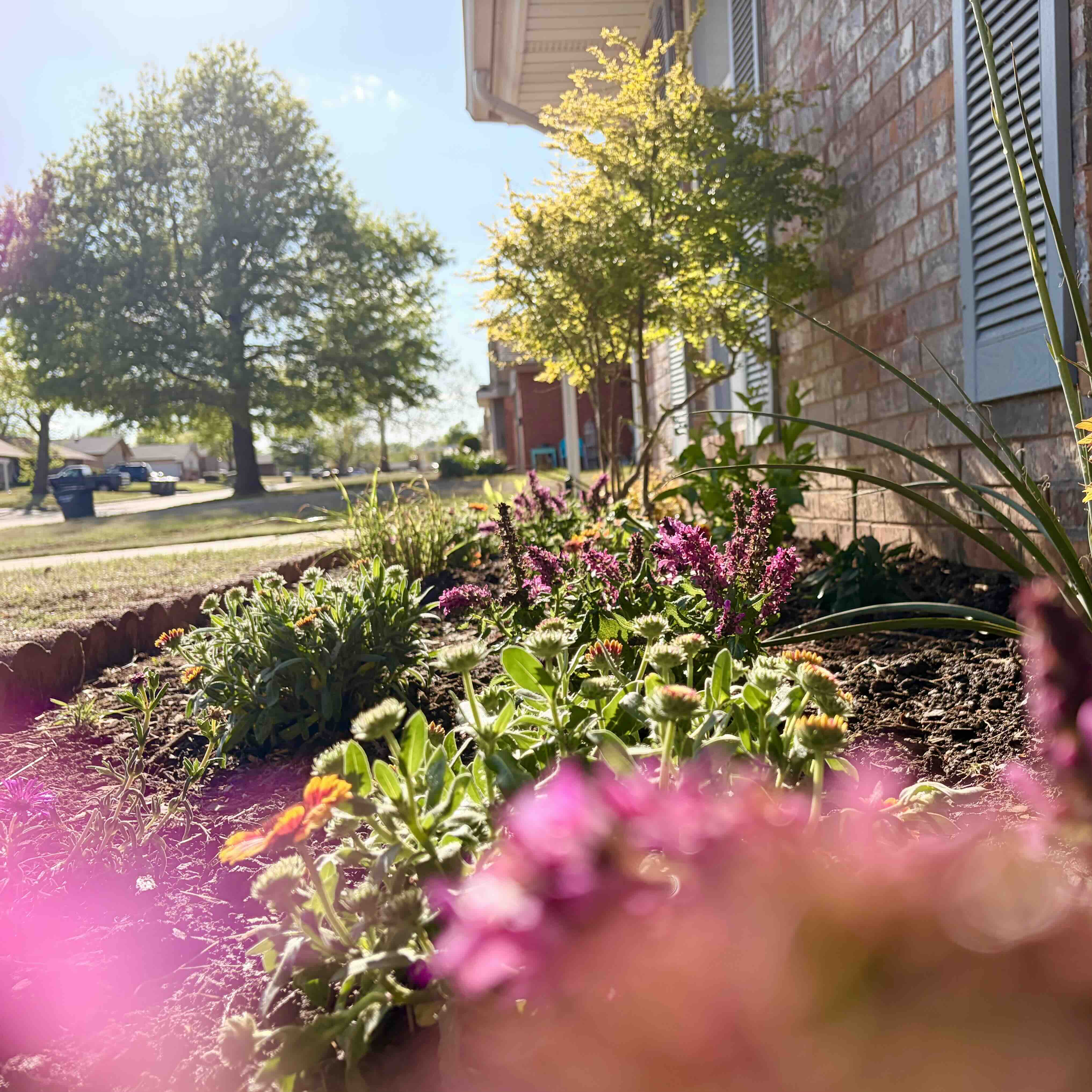 Pollinator garden service in Oklahoma City, Edmond, Oklahoma