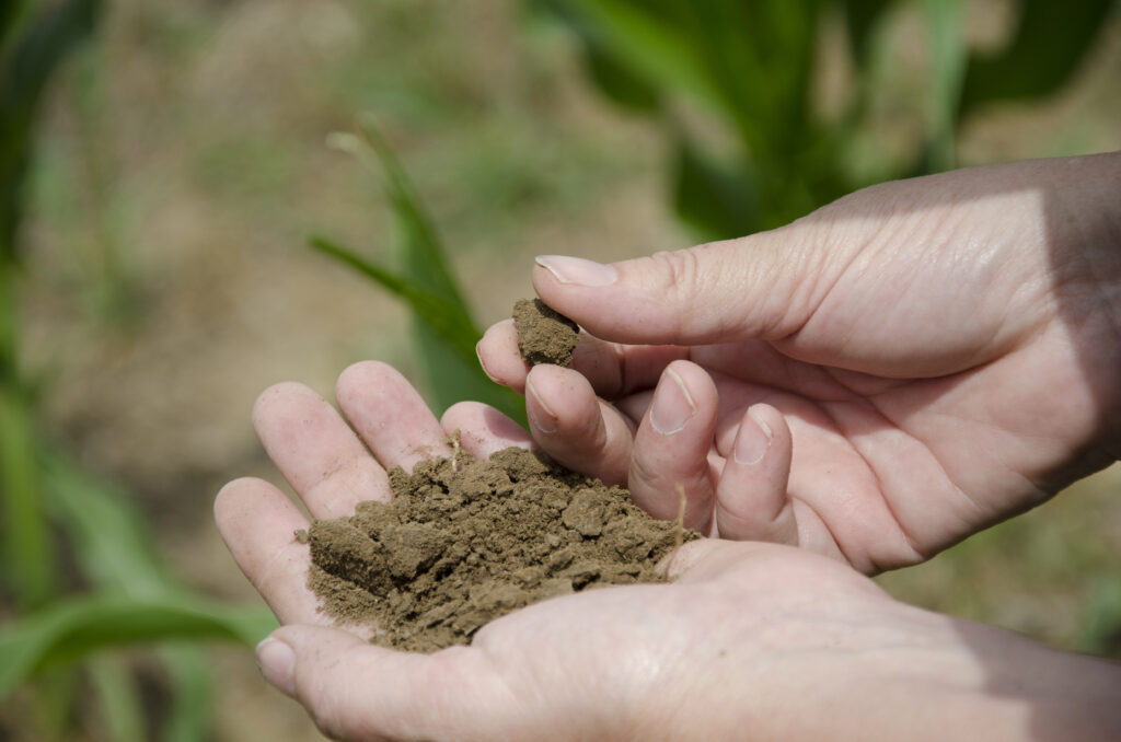 Hands assessing soil aggregation.