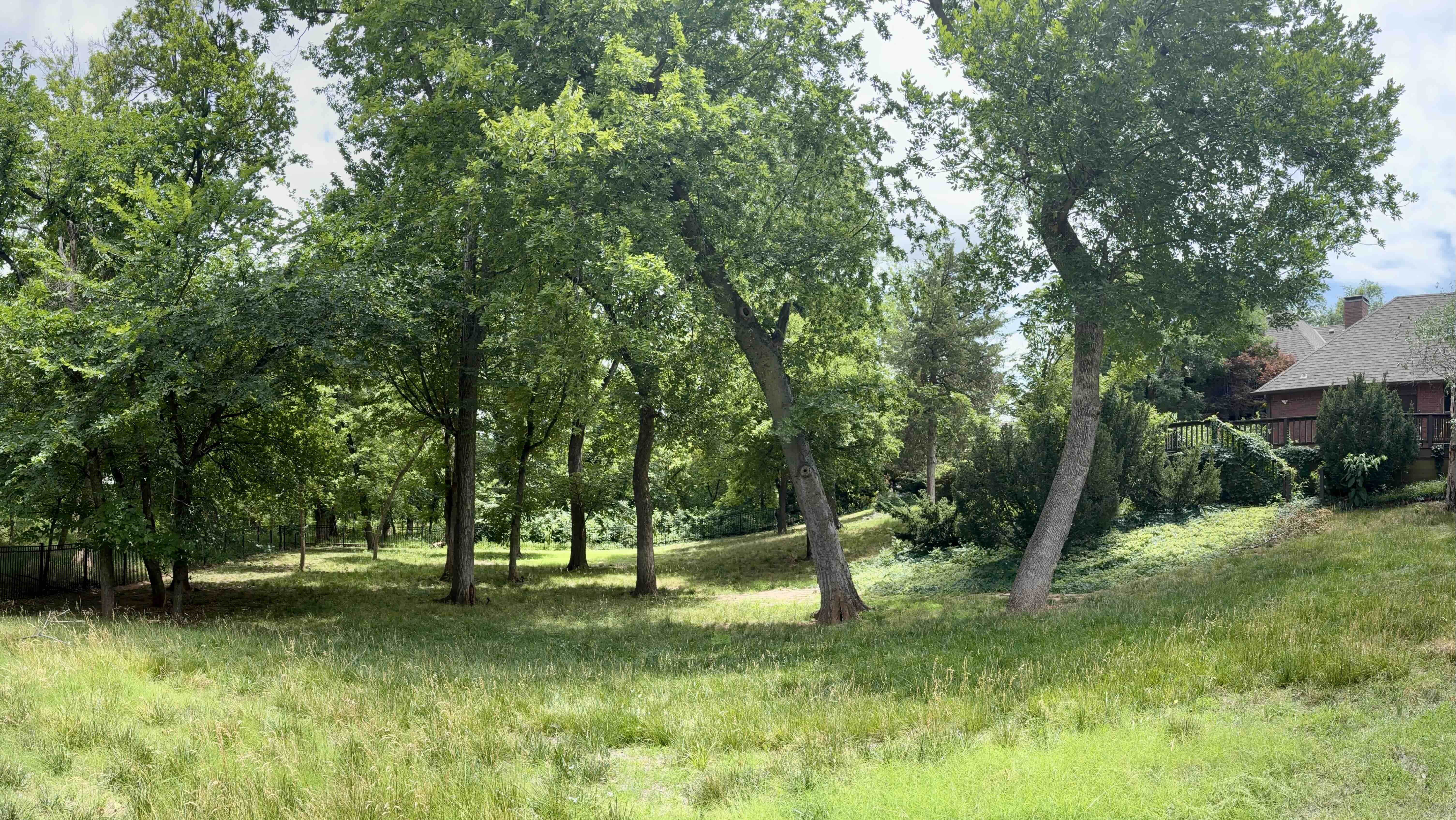 Carefully planted Oklahoma estate landscape